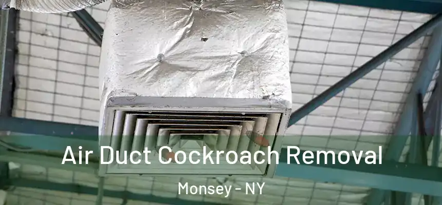  Air Duct Cockroach Removal Monsey - NY
