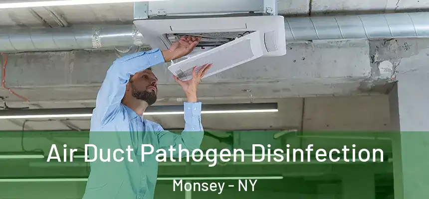  Air Duct Pathogen Disinfection Monsey - NY