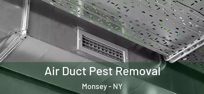  Air Duct Pest Removal Monsey - NY
