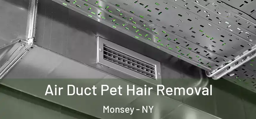  Air Duct Pet Hair Removal Monsey - NY