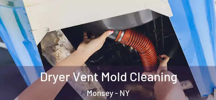  Dryer Vent Mold Cleaning Monsey - NY