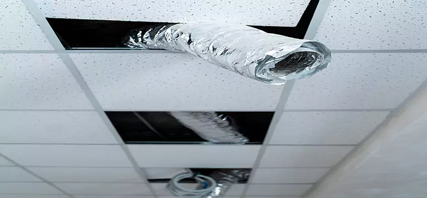 Our Air Duct Pet Hair Removal Services in Monsey, NY