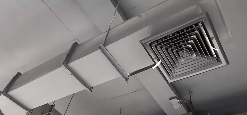 Our Pest Removal From Ducts Services in Monsey, NY