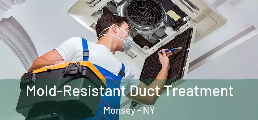  Mold-Resistant Duct Treatment Monsey - NY