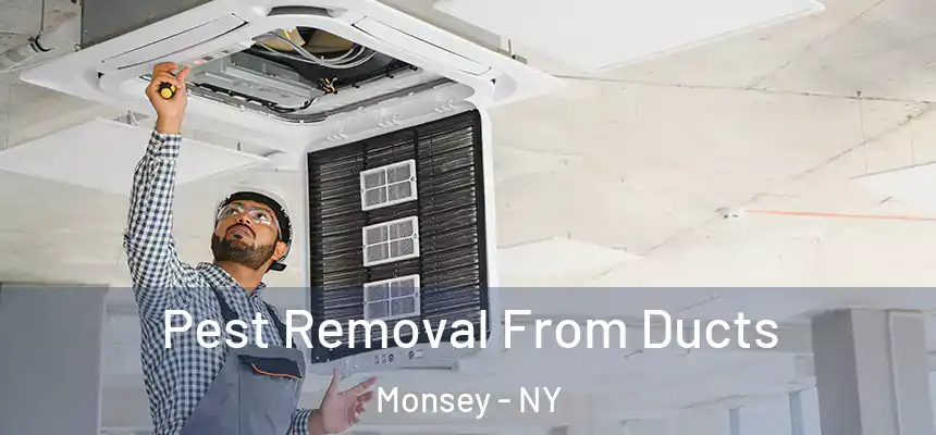  Pest Removal From Ducts Monsey - NY