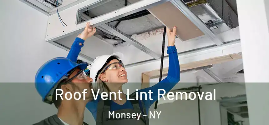  Roof Vent Lint Removal Monsey - NY