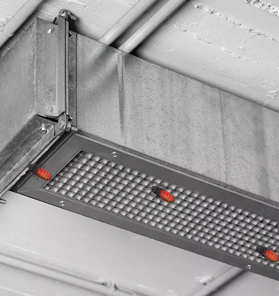 About Air Duct Cockroach Removal in Monsey, NY