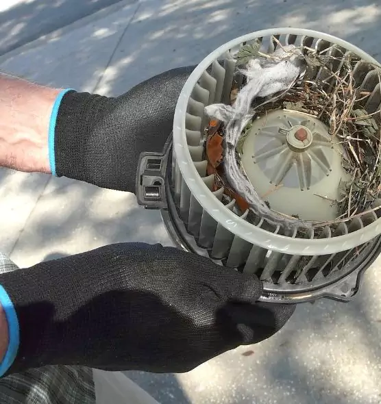 About Air Duct Mice Removal in Monsey, NY